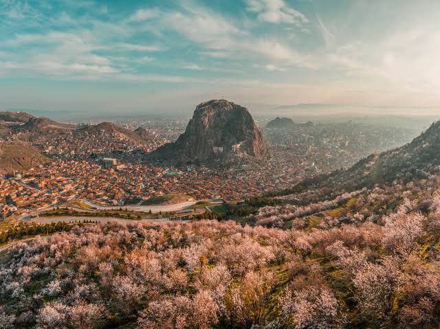 Afyonkarahisar Valisi, Doç. Dr.