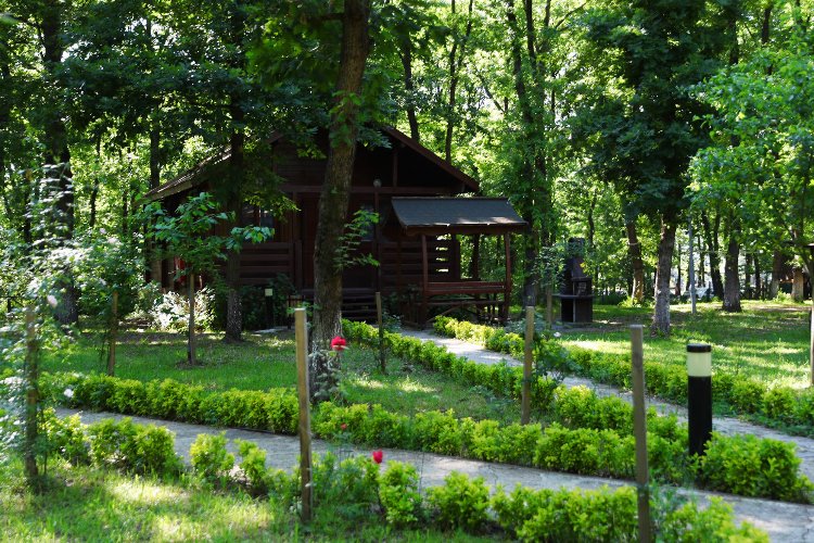 Sakarya’nın oksijen deposuna ziyaretçi